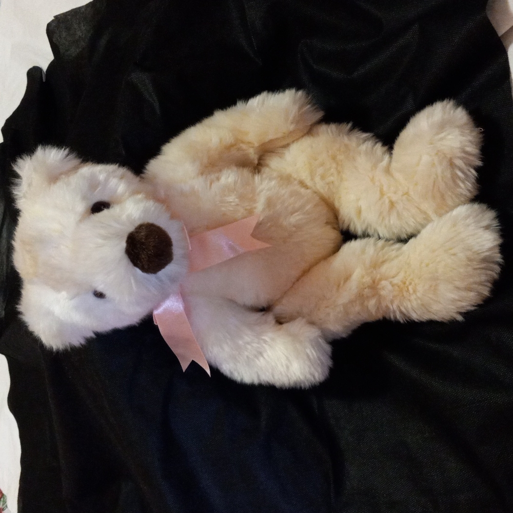 TY Classic Plush Bear